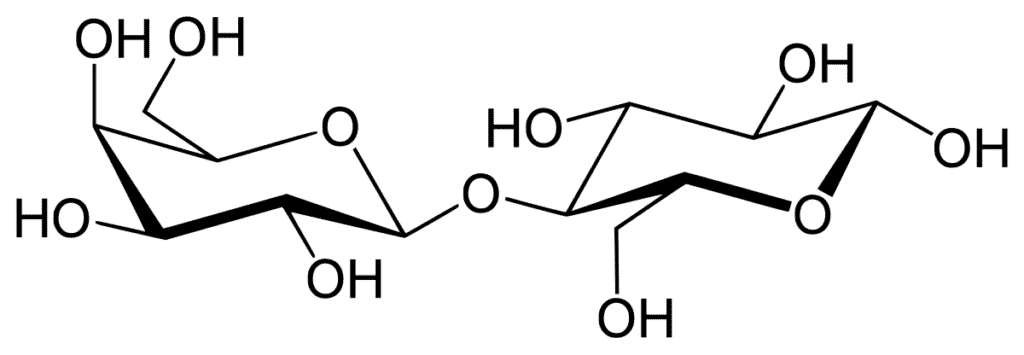 lactose molecular structure