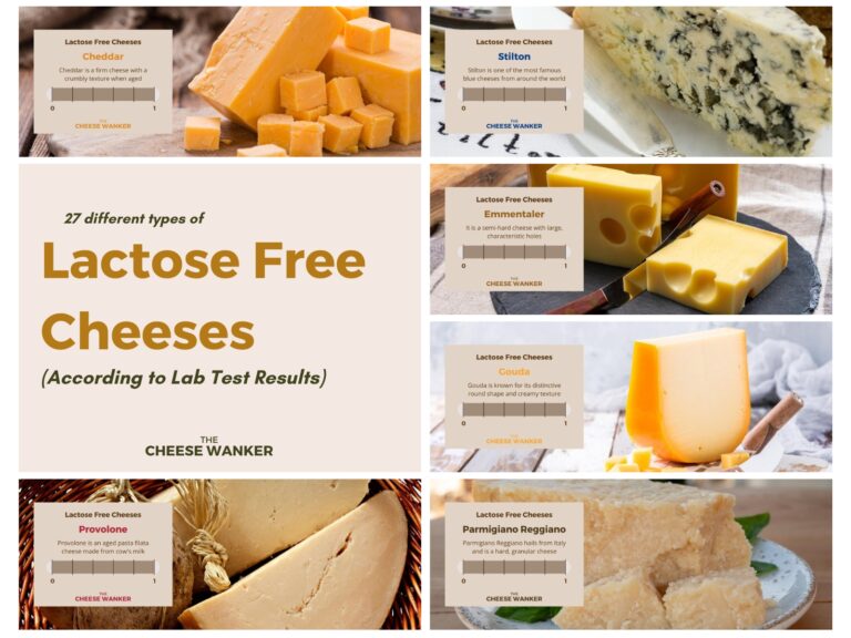 27 Types of Lactose Free Cheeses
