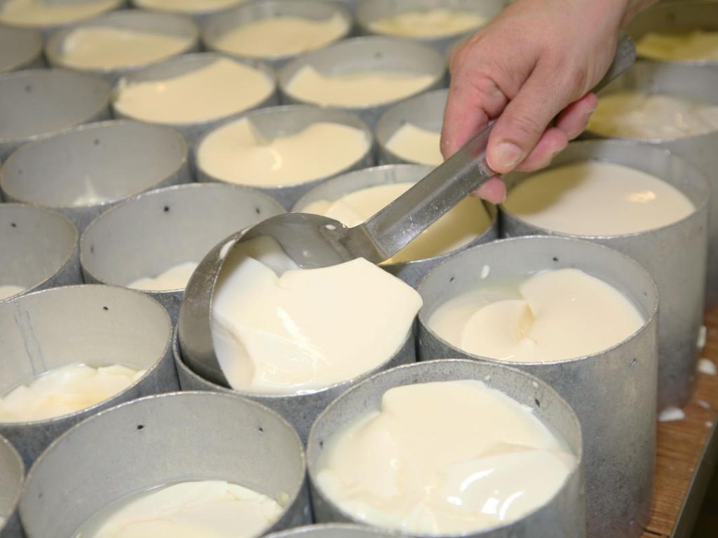 Cheese maker hand ladling Camembert de Normandie