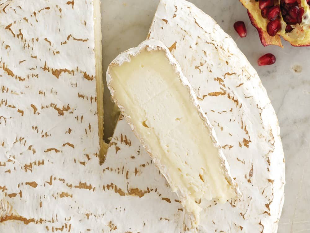 wheel of Brie de Melun showcasing the difference in size compared to Camembert