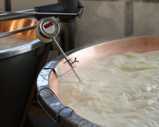 Curds being cooked in a giant vat