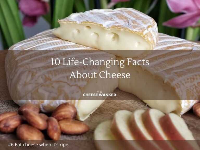 10 Life-Changing Facts About Cheese