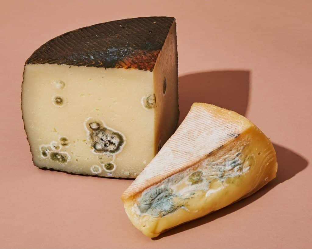Cheese with black mould on it