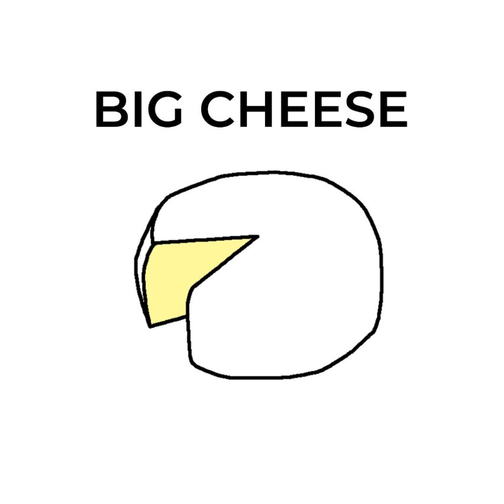 Big Cheese Top Print