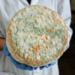 Can You Eat Mouldy Cheese?