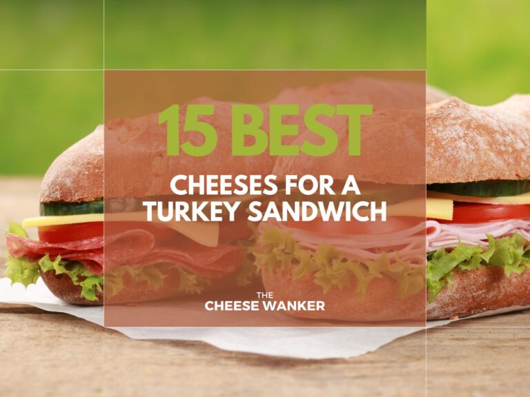 15 Best Cheeses For A Turkey Sandwich