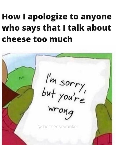 I'm Sorry But You're Wrong Cheese Meme