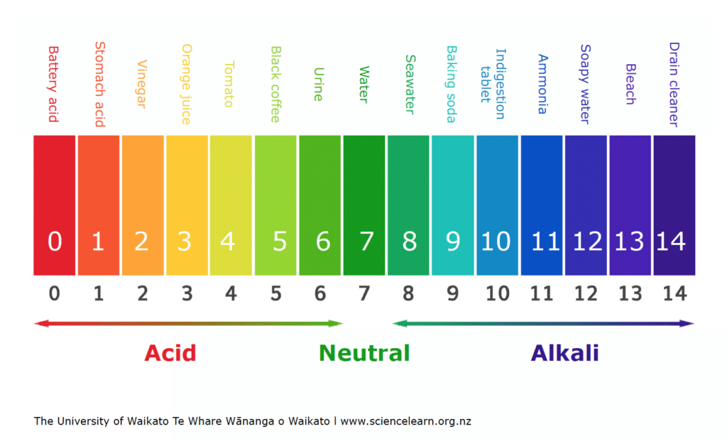 pH scale showing examples at each level