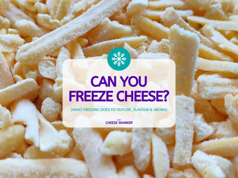 Can You Freeze Cheese (What Freezing Does To Texture, Flavour & Aroma)