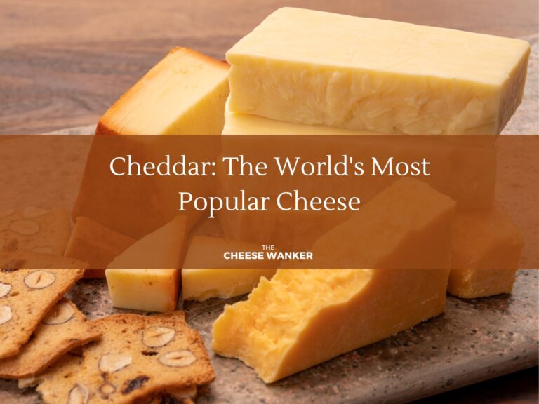 Cheddar: The World's Most Popular Cheese