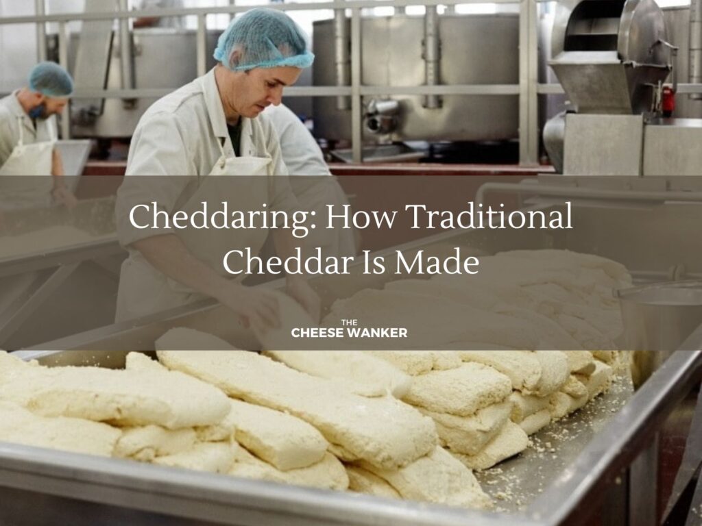 Cheddaring How Traditional Cheddar Is Made