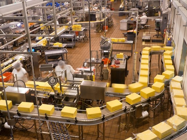 Mass production of cheese in factory