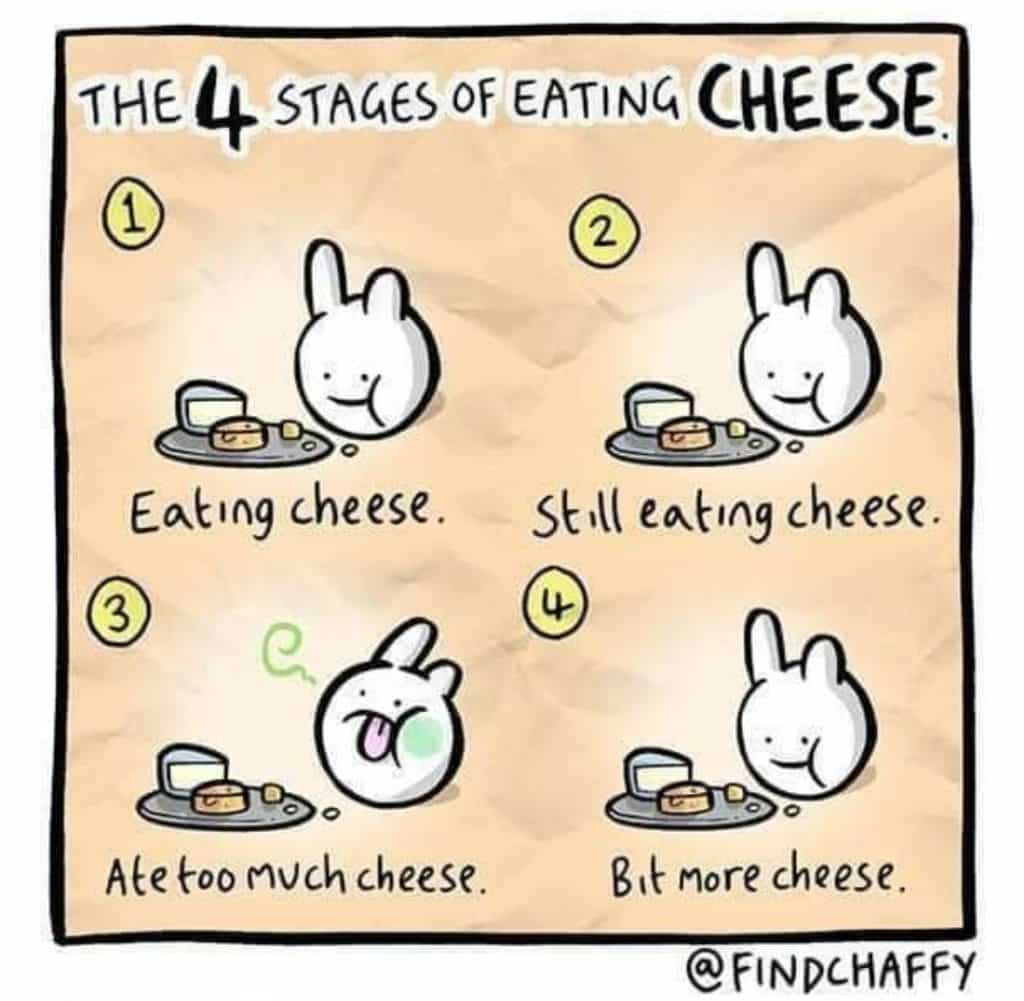4 Stages of Eating Cheese 21 Best Cheese Memes On The Internet
