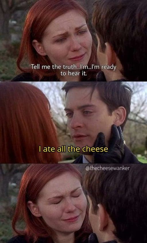 Tell Me The Truth Im Ready To Hear It 21 Best Cheese Memes On The Internet