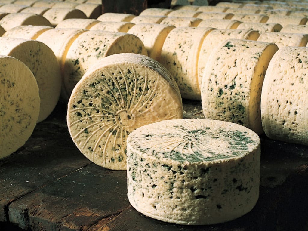 Wheels of Bleu des Causses blue cheese in maturation cave