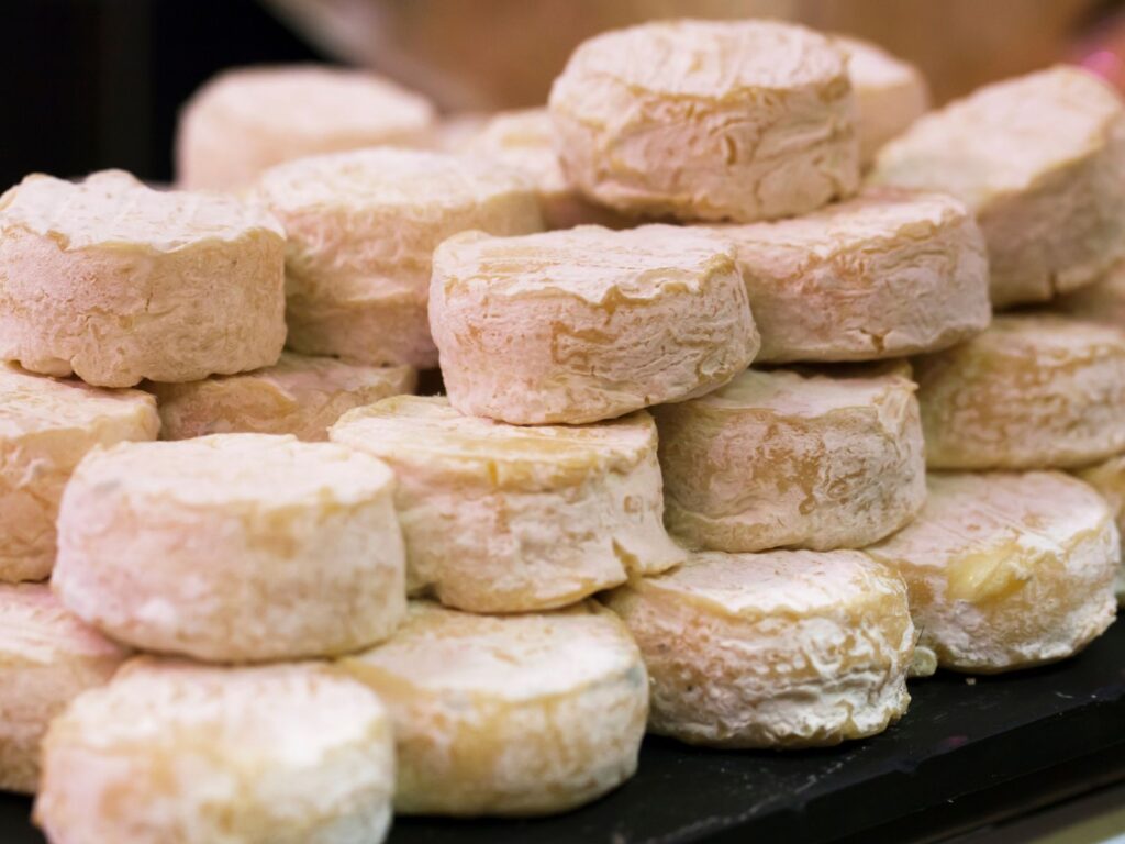Stack of small round cream-coloured Pélardon goat cheese