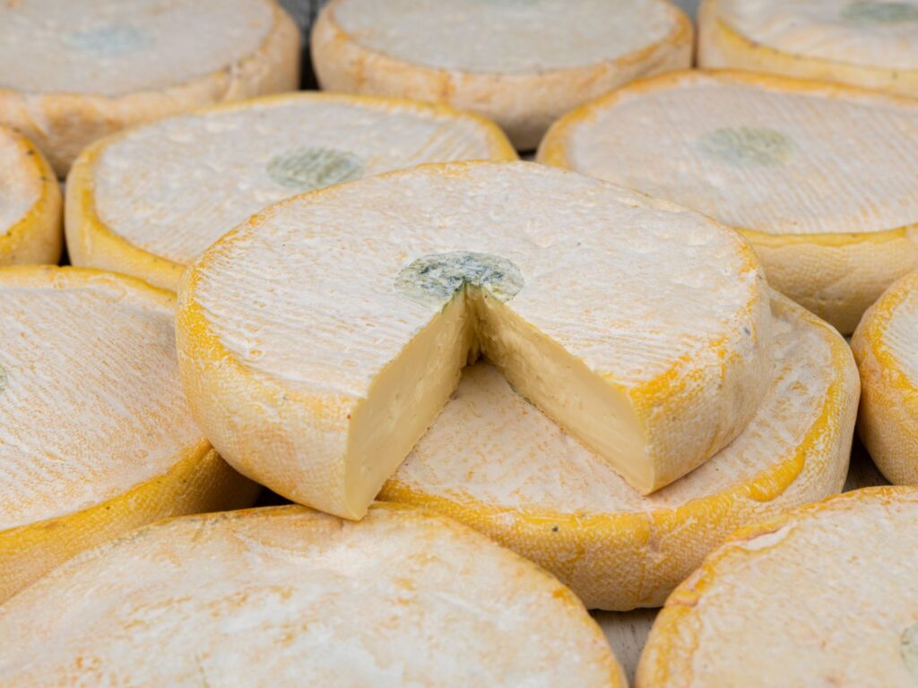 Stacks of Reblochon AOP cheese