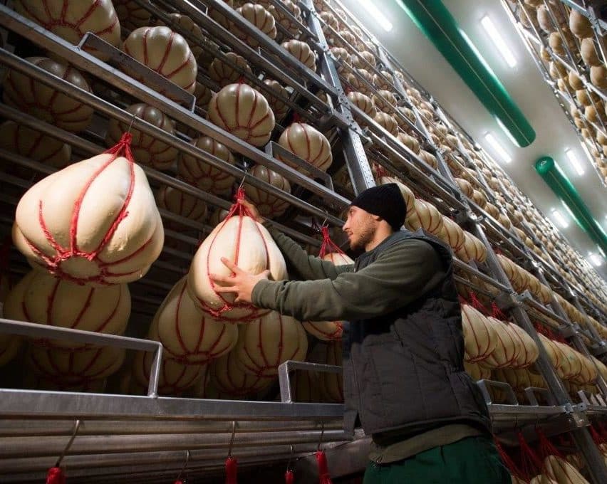 Balls of Italian cheese Provolone hanging in maturation rooms