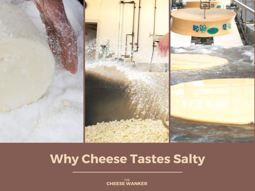 Why Cheese Tastes Salty