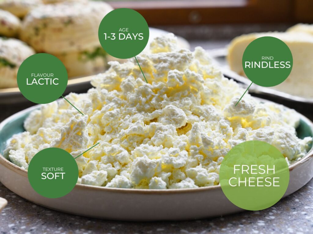 Crumbly white fresh cheese on a plate