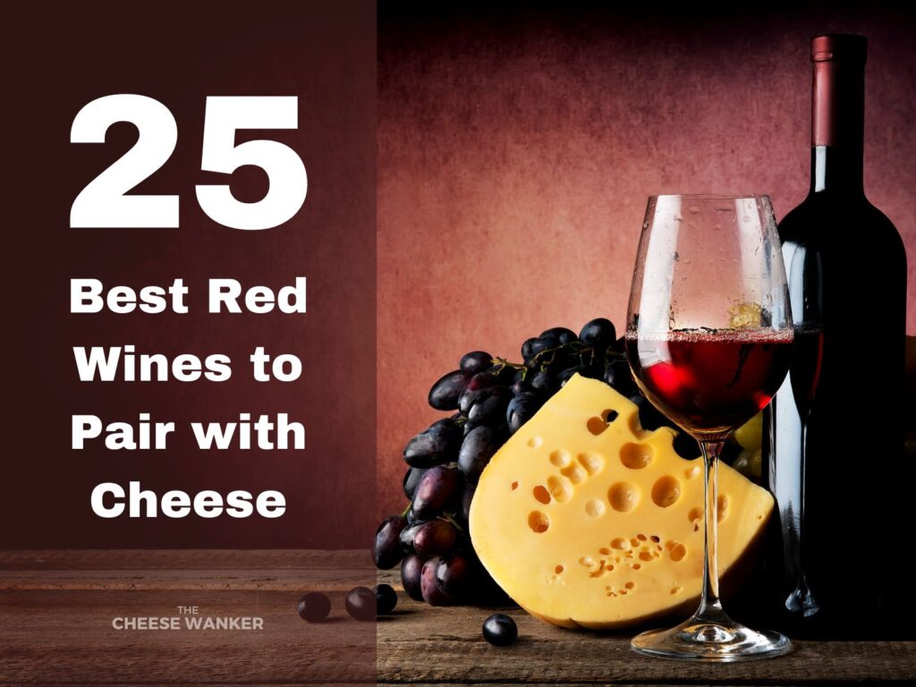 25 Best Red Wines to Pair with Cheese