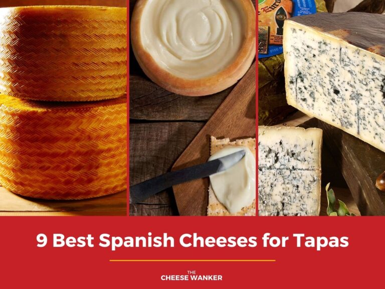 9 Best Spanish Cheeses for Tapas