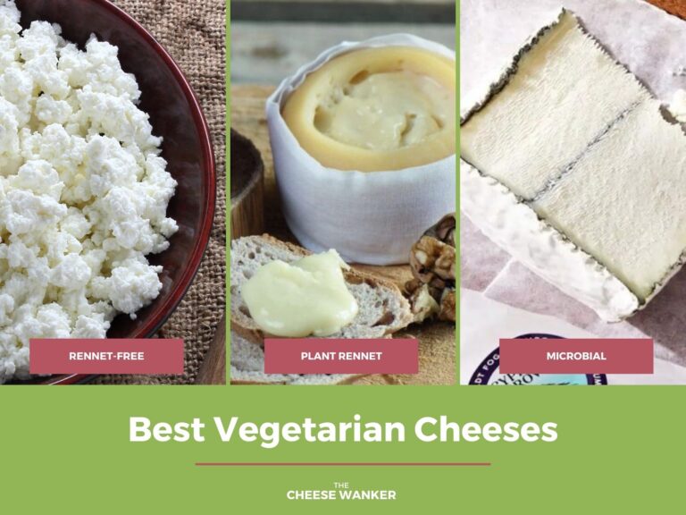 Best Vegetarian Cheeses
