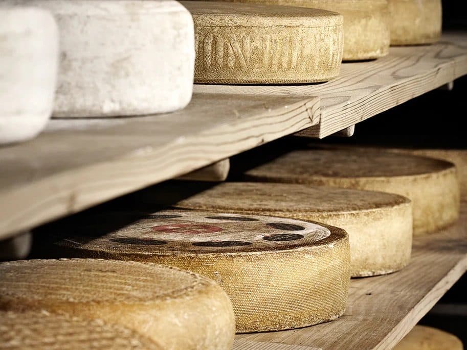 Wheels of farmhouse cheese maturing on wooden boards