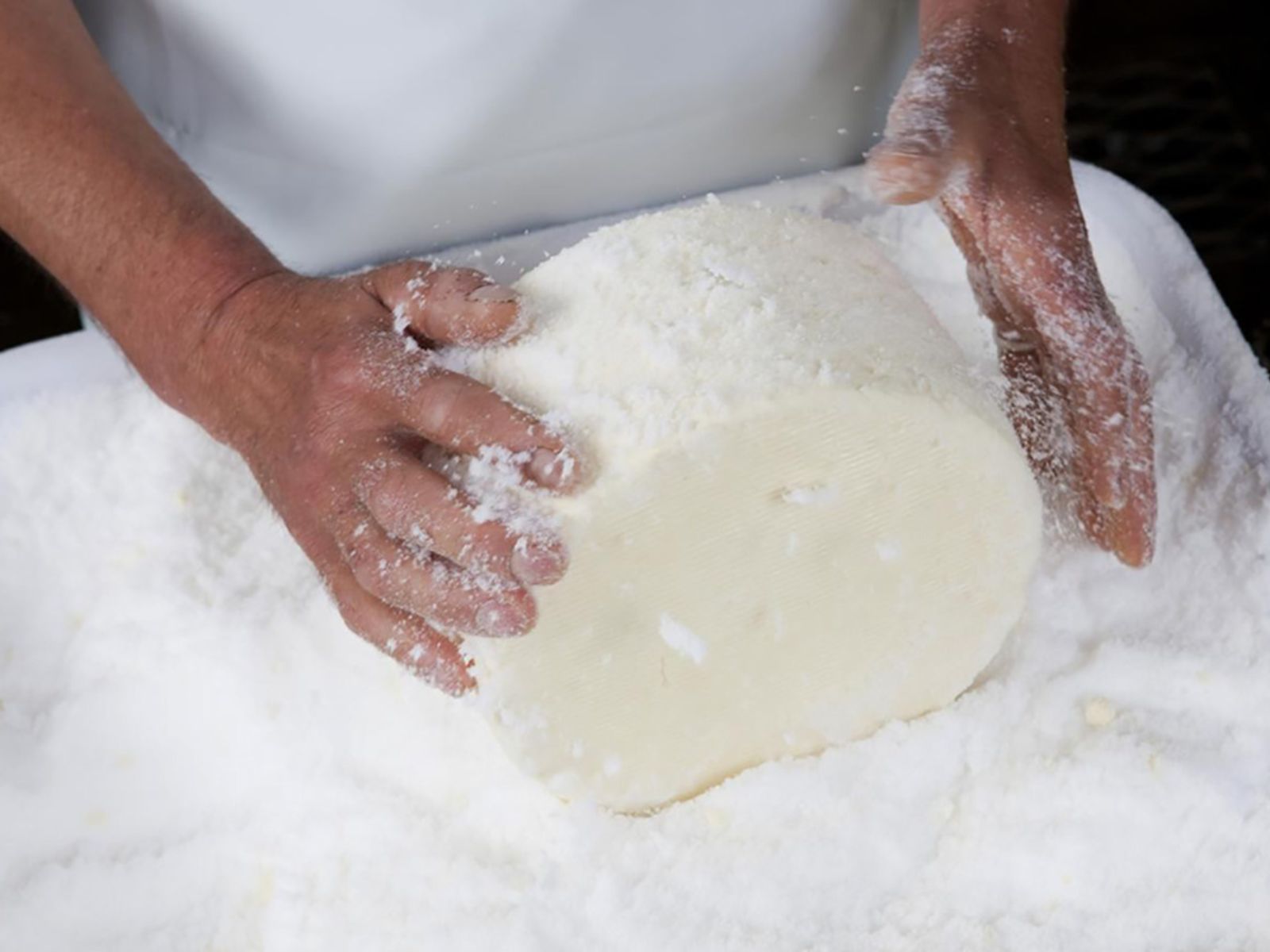 Cheesemaker dry salting a wheel of blue cheese