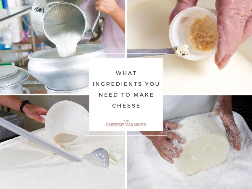 What Ingredients You Need to Make Cheese