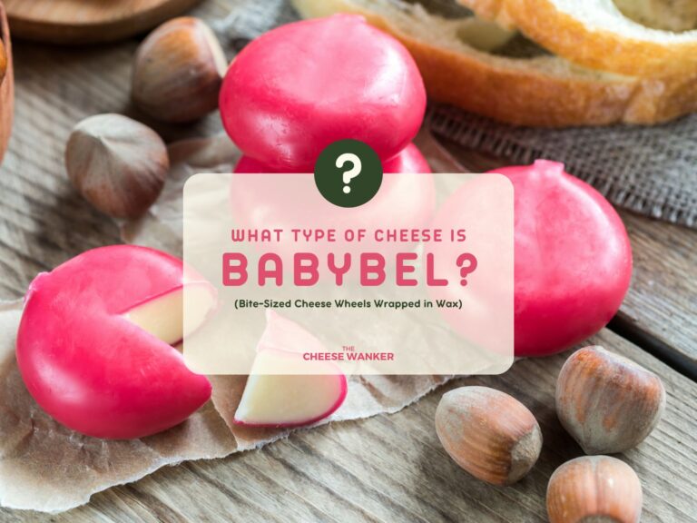 What Type of Cheese is Babybel (3)