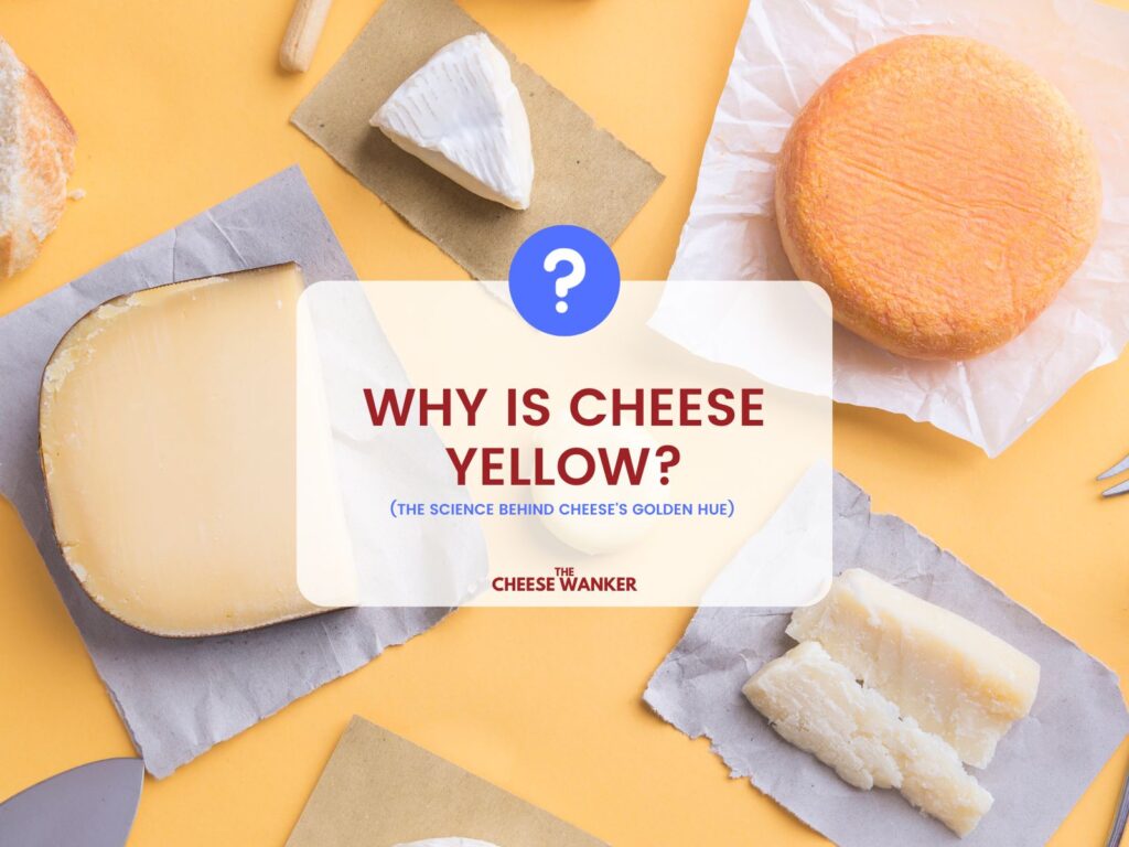 Why is Cheese Yellow (The Science Behind Cheese's Golden Hue) 
