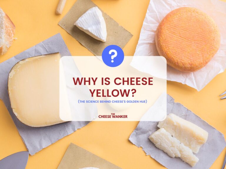 Why is Cheese Yellow (The Science Behind Cheese's Golden Hue) 
