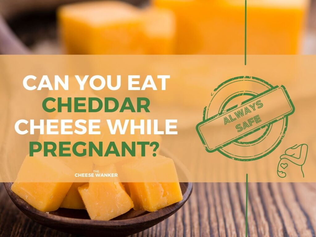 Cheddar Always Safe in Pregnancy