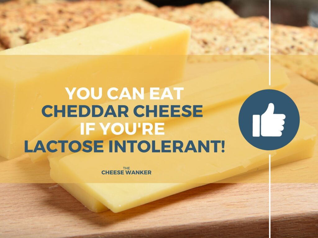 Cheddar Can Eat if Lactose Intolerant