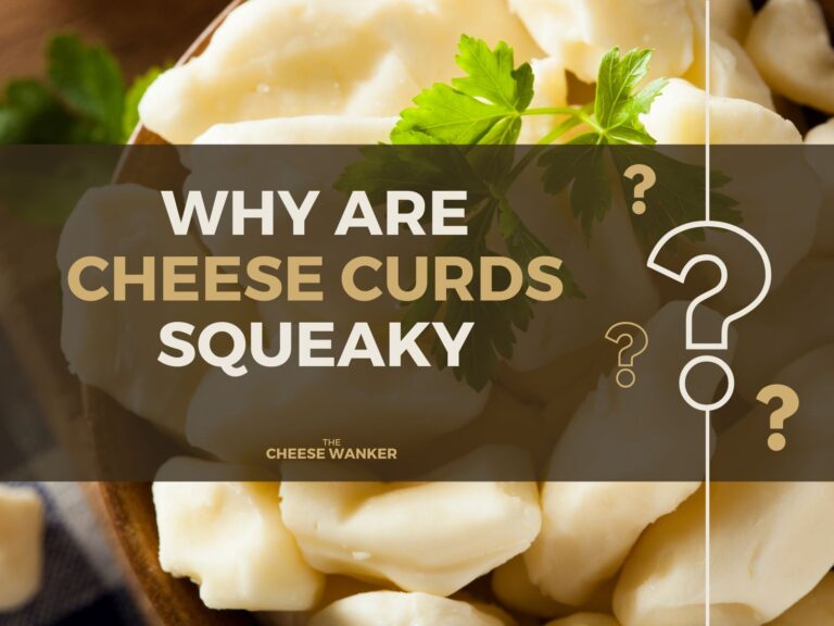 Why Are Cheese Curds Squeaky
