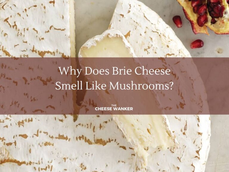 Why Does Brie Cheese Smell Like Mushrooms