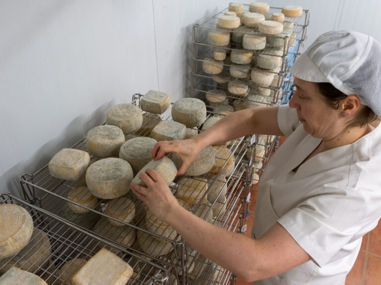 Artisanal Cheese on shelves