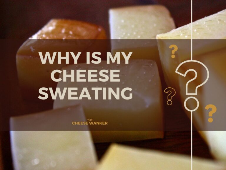 Why Is My Cheese Sweating