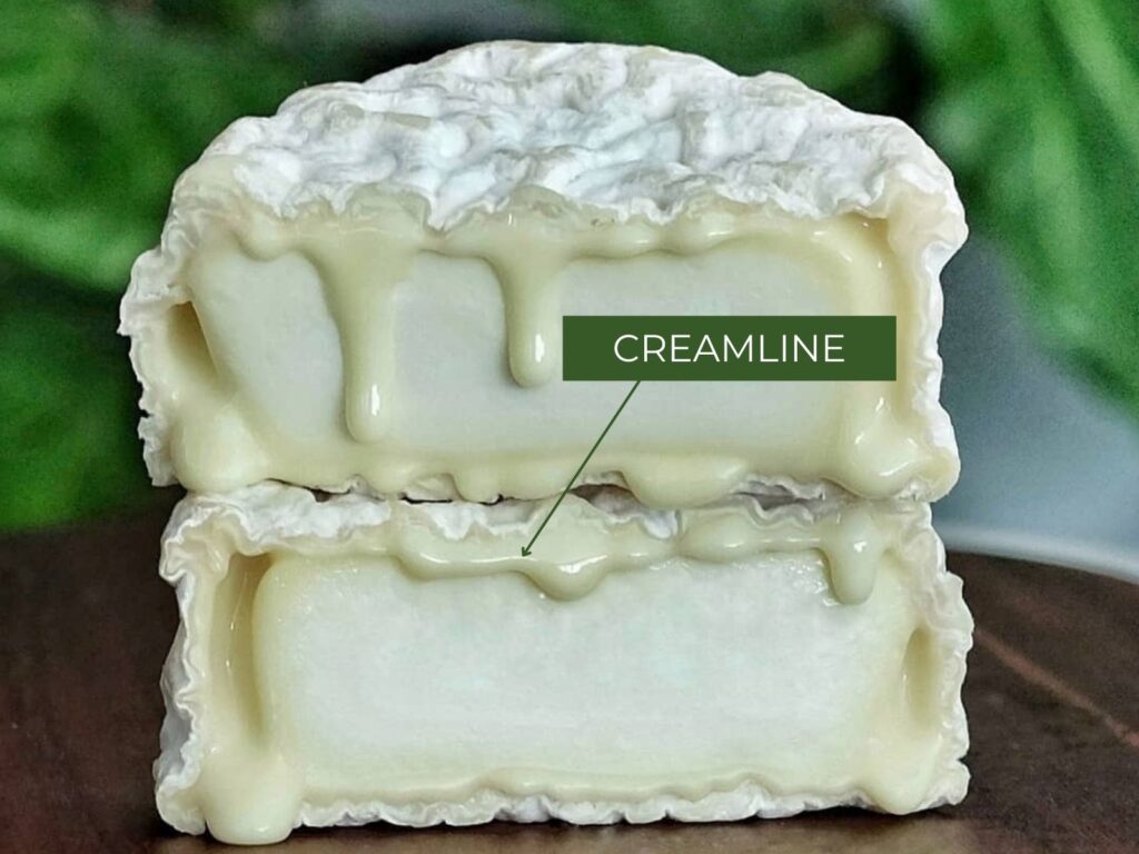 Oozy creamline on ripe Sheep Sensation soft cheese
