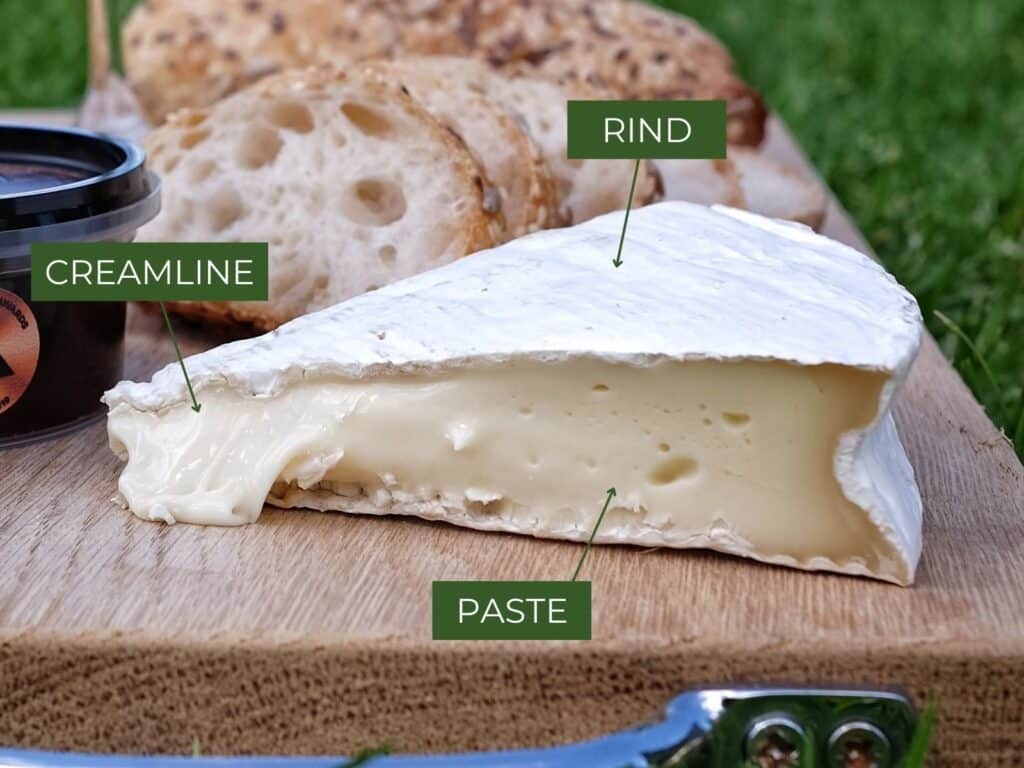 Rind paste and creamline on Brie - different parts of cheese