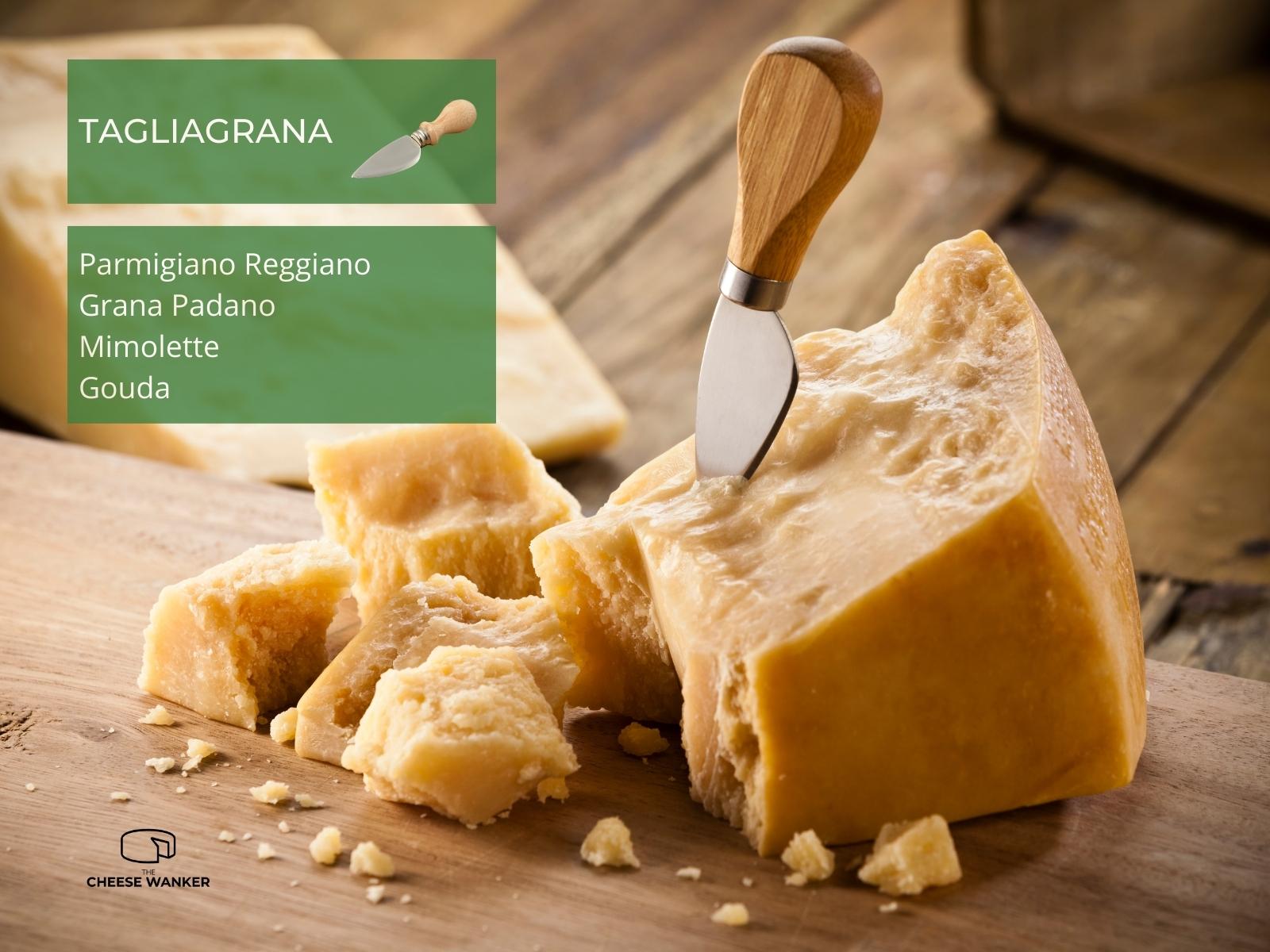 Cutting Parmigiano Reggiano with Tagliagrana knife