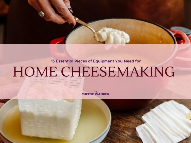 15 Essential Pieces of Equipment You Need for Home Cheesemaking
