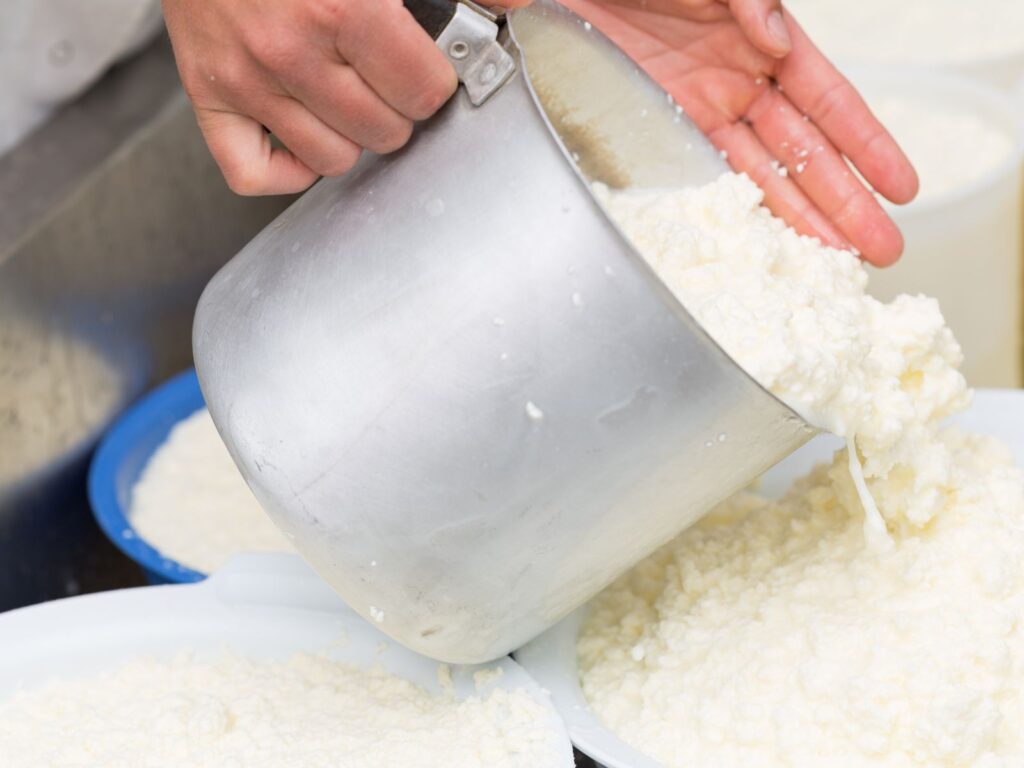 Making-Artisanal-Cheese