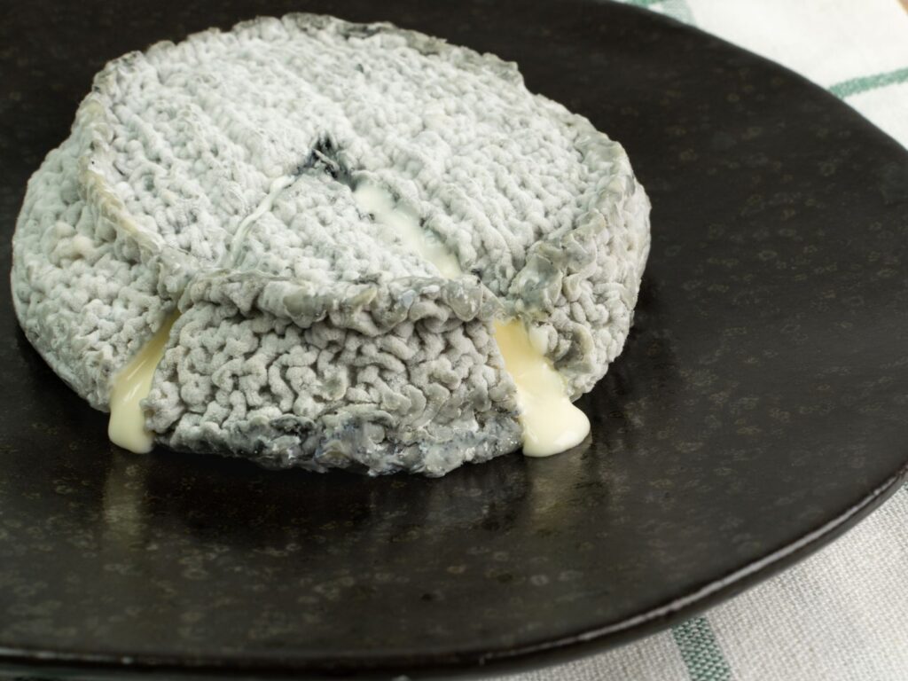 Oozy ripe selles sur cher cheese with grey rind