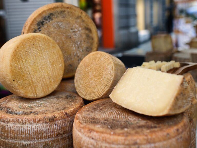 Different types of Pecorino cheeses