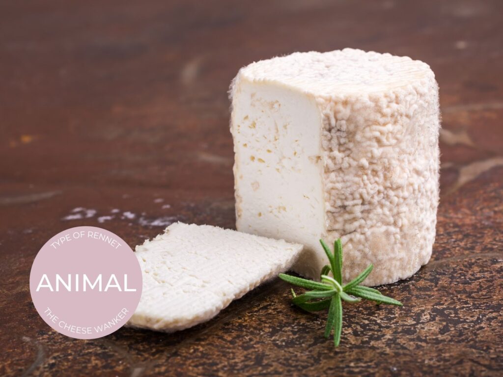 Animal Rennet: Traditional & Terroir Driven Cheesemaking