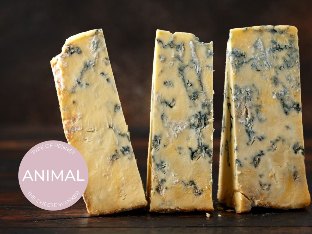 Animal Rennet: Traditional & Terroir Driven Cheesemaking