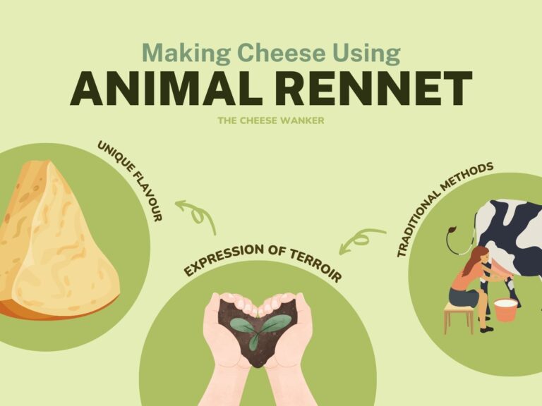 Animal Rennet Traditional & Terroir Driven Cheesemaking