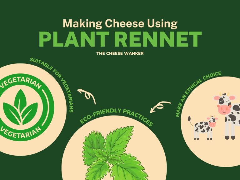 Plant-Based Rennet Making Ethical Cheese